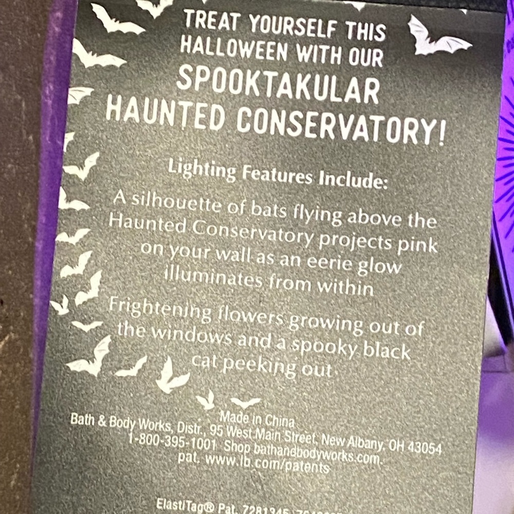HAUNTED HOUSE CONSERVATORY NIGHTLIGHT PROJECTOR CHECK OUT PHOTOS - Picture 11 of 13